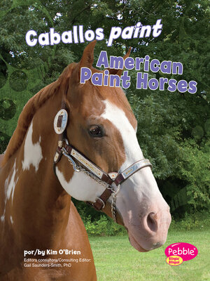 cover image of Caballos paint/American Paint Horses